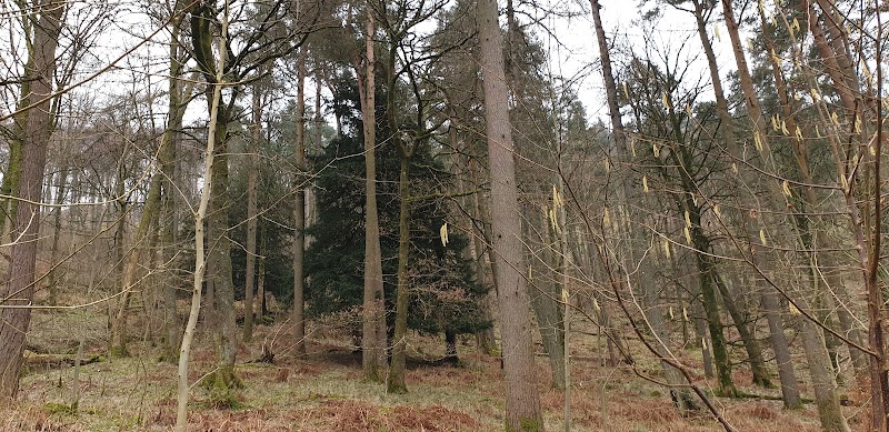 Watson's Park